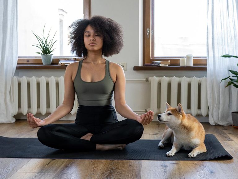 Photo: Pellentesque Pulvinar Pellentesque Habitant